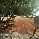Dans Domaine Des Barrettes Hébergement de vacances