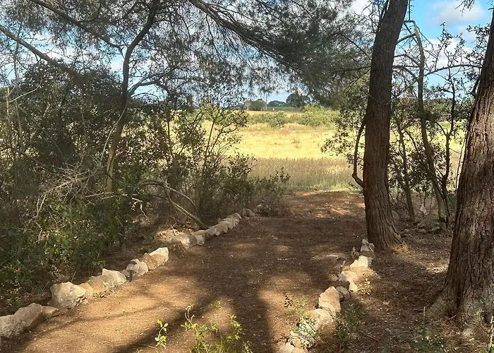 Dans Domaine Des Barrettes 아그