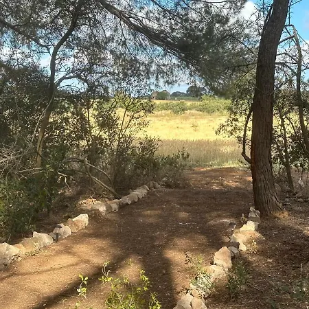 Dans Domaine Des Barrettes Agde